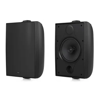 Настенная акустика Tannoy DVS 6